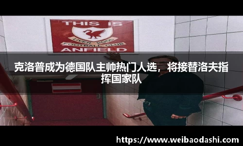 九游体育.九游体育官网入口